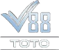 Rekam V88